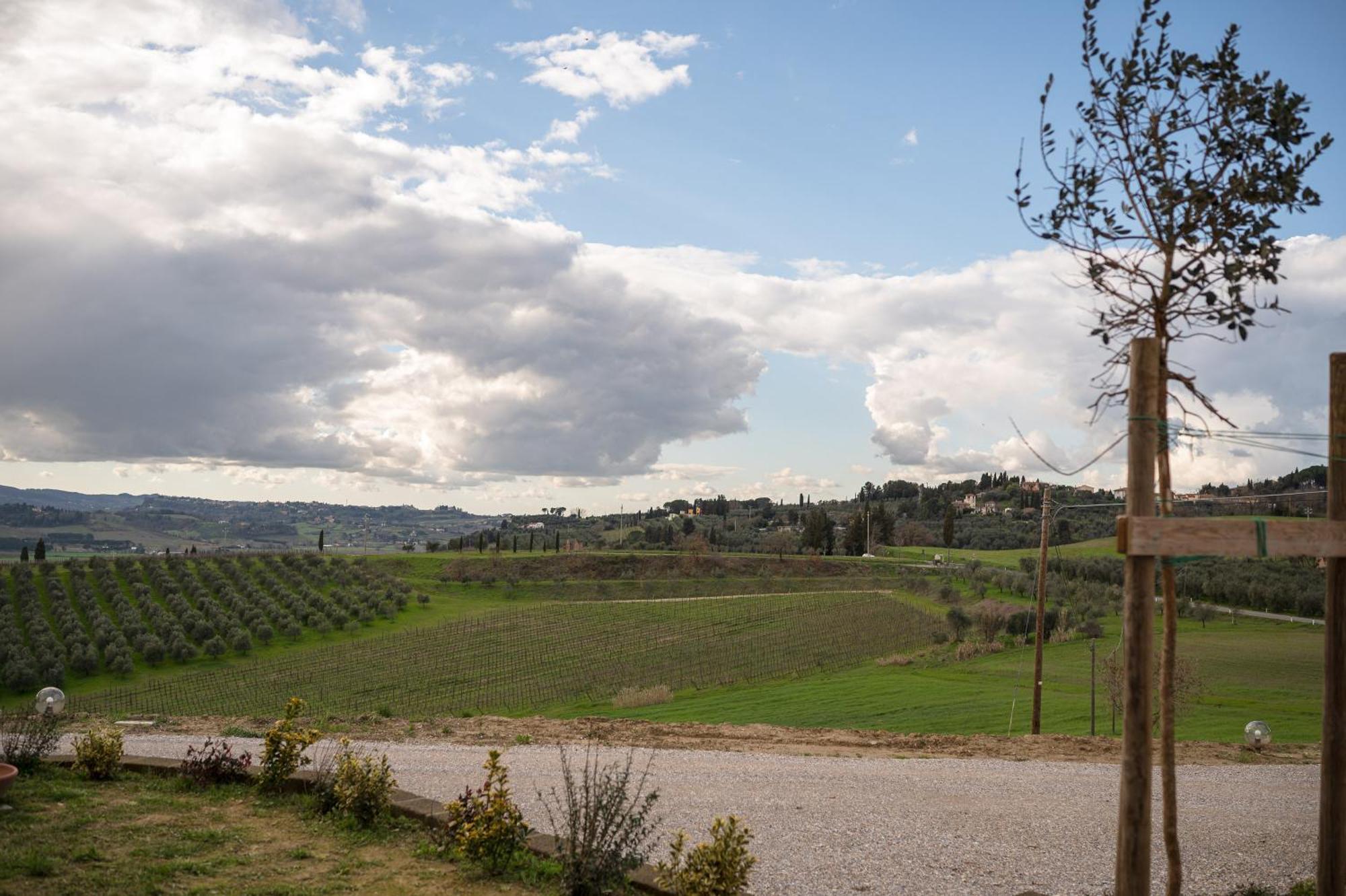 Podere Cornacchino Peccioli Buitenkant foto